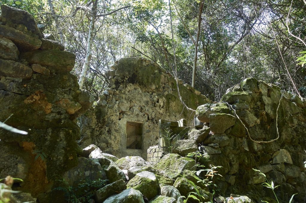 Good News For Hong Kong