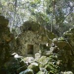 Good News For Hong Kong